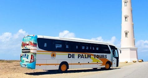 Обзорная автобусная экскурсия по Арубе